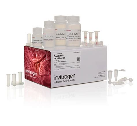 purelink rna mini kit